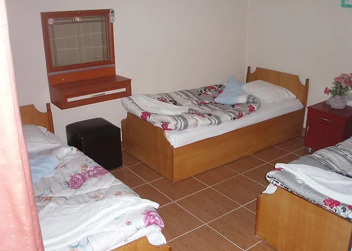 酒店 帕姆克列酒店 帕莫卡莱